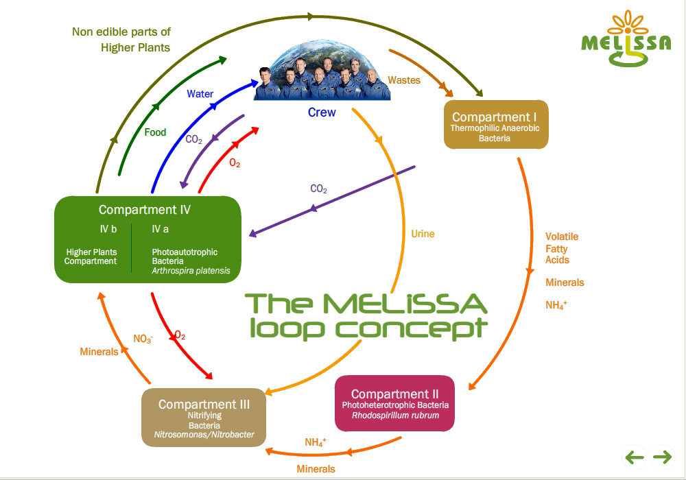 Image explaining the MELiSSA loop concept (Courtesy of UAB)